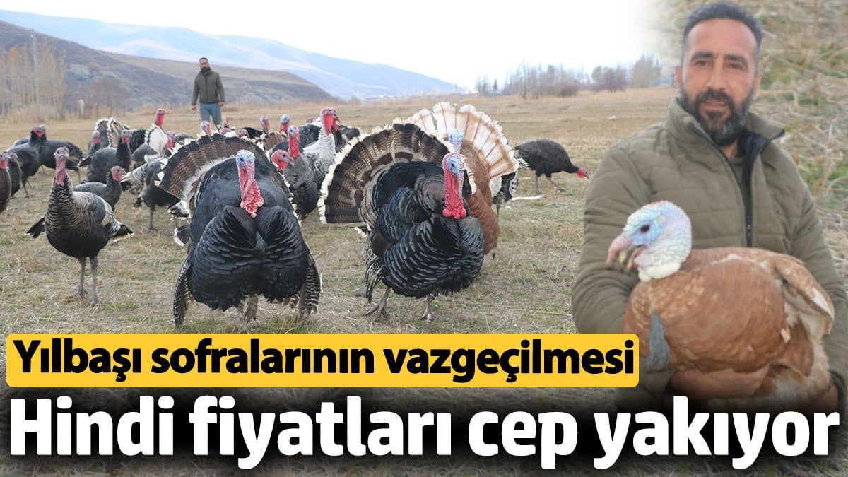 Hindi fiyatları dudak uçuklattı! Yılbaşı sofralarının vazgeçilmesi